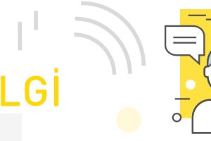 startup bilgi birikimi