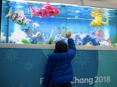 Geri Dönüştürülebilir ve Sürdürülebilir Araçlara Hazırlanın