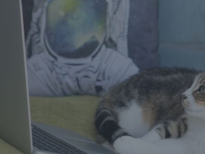 Dijital Ajanslar ile Marka Hikayenizi Yaratın