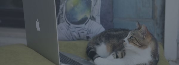 Dijital Ajanslar ile Marka Hikayenizi Yaratın