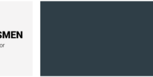 İzlem Küsmen Netuce